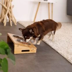 Lionto Futterstation Mit Bambusgestell 8 Lionto Futterstation Mit Bambusgestell -Ruffwear Magasin e762634a87a53c4042e5b63f5ad9a631025e7cef 1665980 de DE 6bec3df4da87afbd35f2bf89c4f6a17e28748e22vGZNCF