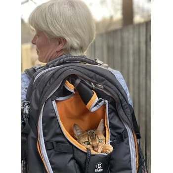 Kurgo Hunderucksack G-Train Schwarz 4 Kurgo Hunderucksack G-Train Schwarz – Bild 2