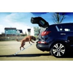 4pets Rampe EasySteps -Ruffwear Magasin e900a968d8a04ba612530fdd36c5aa69f2fcdb42 13c5bbebb6d2cdec433b668e9fb0bd46dd6f4298