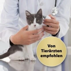 Felisept Home Comfort Nachfüller 45ml -Ruffwear Magasin e9c011b3fbd5bbe432aaf4e34410de973ecd3c9b 1667496 1