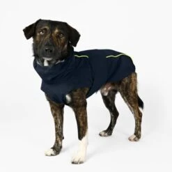 THE DOG IDEA Regenmantel Duke Navy XXXS 14 THE DOG IDEA Regenmantel Duke Navy XXXS -Ruffwear Magasin ea00da11be84052a9bd95ce1f2727678ed1be4f4 1473009 de DE ac44302b2919bae198c186891f7199cadbe8fe207lh60I