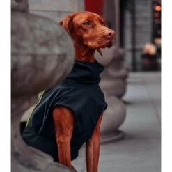 THE DOG IDEA Regenmantel Duke Navy XXXS 11 THE DOG IDEA Regenmantel Duke Navy XXXS -Ruffwear Magasin f096e7e133fa443cf15650dbb41c90e9710286ba 1473009 de DE 7ba56fe6bcea2b1323841a8c8f236c15c303a8beNvhTm4