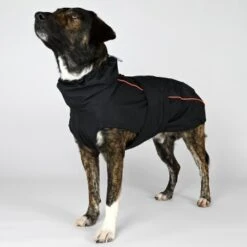 THE DOG IDEA Regenmantel Duke Schwarz XXXS -Ruffwear Magasin f29242359df1a071e2aabe682ce26323da8fa9d3 1472973 de DE 2d3ce4b64373a26701d22a56596fd6822889f96dzbZU59