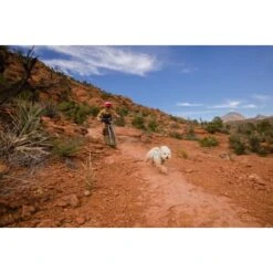 Ruffwear Swamp Cooler Zip™ Kühlweste Für Hunde Pink XL -Ruffwear Magasin f39337d577f60e5d30ba5addfb811febecbc66e7 1639652 de DE 1ff9fca93caed68be3a65cc55ad0d154f81bf268suJpN2