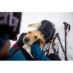 Ruffwear Cloud Chaser™ Hundejacke -Ruffwear Magasin f46c67f8b7243d976f998e1877675b56fc87eab2 1369625 de DE 51d1c132eb566a7eb9e278708f64567d4e47a10epBiJRc