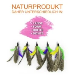 Schlitzohr Katzenangel Federanhänger 5x -Ruffwear Magasin f6a96b93601c3b2f6f7420ade3ecfe56542cca74 1484675 de DE b1d2fd29ad67016b9a6af908251d348edfa467f2BG8aWR