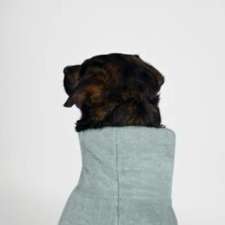 THE DOG IDEA Bademantel Every Mint XXS -Ruffwear Magasin f7bc80ab95e5cf654724fa3e5a93428fd0195434 1472965 de DE 67e953fd9948aa7b09975d9616d6736198afcc8bKbmy48
