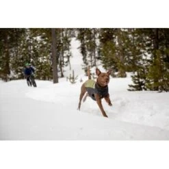 Ruffwear Climate Changer™ Fleece-Pullover Für Hunde Rot S -Ruffwear Magasin fc22c2bf571467d3b4a13f07039506d1e744f556 1369661 de DE a9fba8eb5491b88489a9522880e926a6833ccfbe7NJDVr