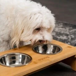 Lionto Erhöhte Futterstation Aus Bambus Braun/ Silber S -Ruffwear Magasin ff2eba128a0d6b75a70cc824dc213b8dd85d734a 1665921 de DE e23b5a688ebe67bbe1f23e079b16083d61ef18cdlFh9kV