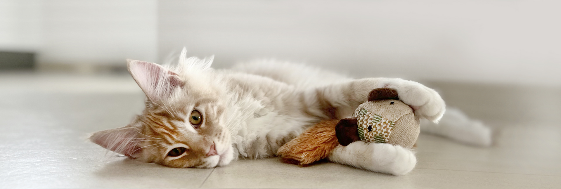 Ruffwear Magasin 2 Ruffwear Magasin -Ruffwear Magasin